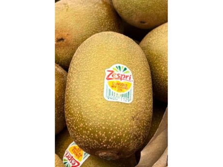 Kiwi Zespri Sungold Nuova Zelanda