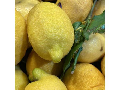 Limoni Bio