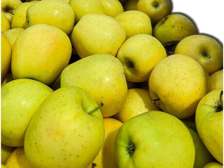 Mele golden Trentino nuove