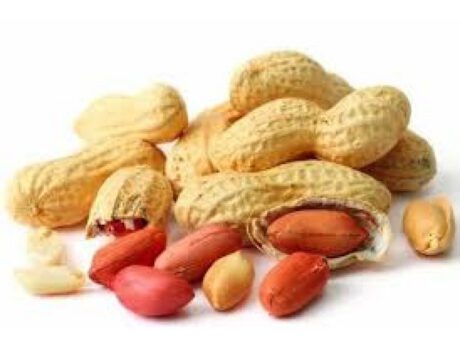 Arachidi tostate (Israele)