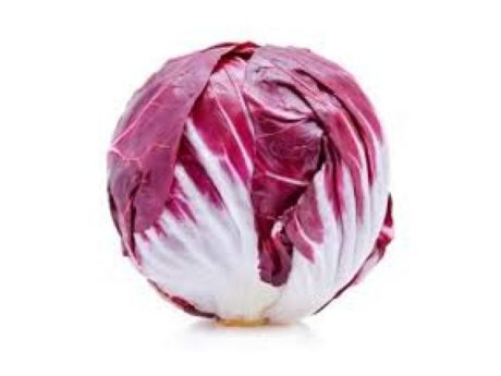 Ins. Radicchio Rosso Chioggia (Italia)