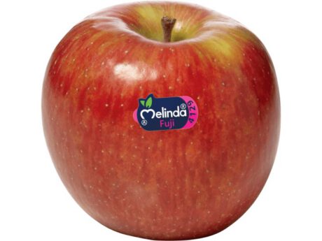 Mele Fuji 75/80 (Italia)