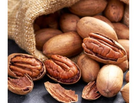 Noci Pecan (America del Nord)