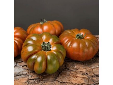 Pomodori Costoluti (Italia)