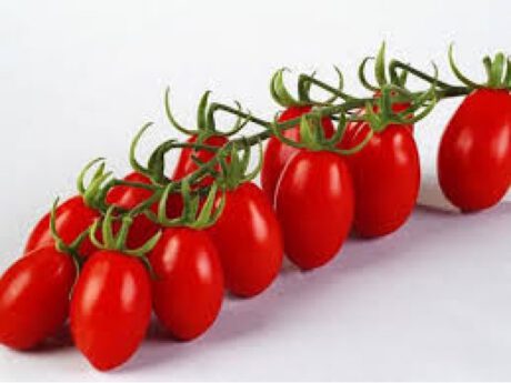 Pomodori Datterini (Italia)