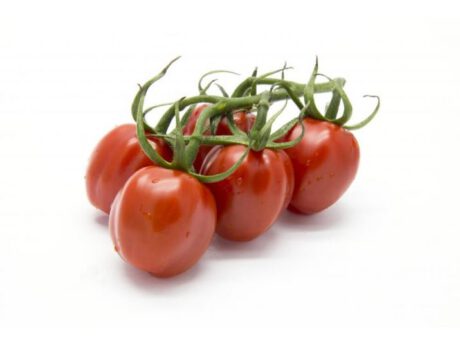 Pomodori Piccadilly (Italia)