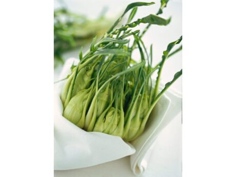 Puntarelle Romane (Italia)