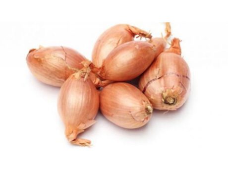 Scalogno 250 gr (Francia)