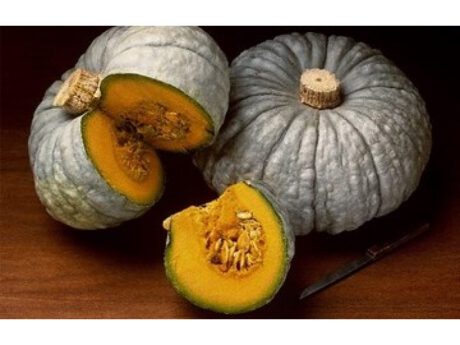 Zucca Mantovana (Italia)