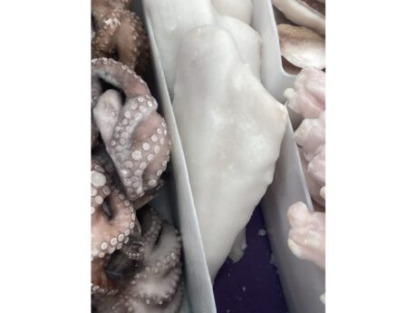 Filetto Merluzzo nordico