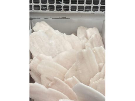 Filetto Sogliola "limanda"