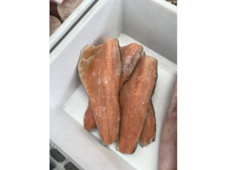 Filetto trota salmonata