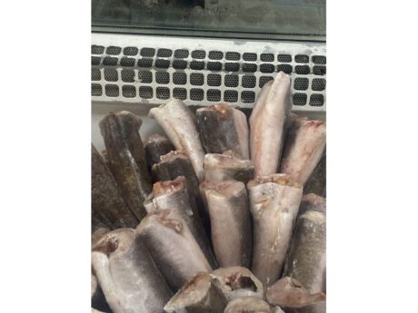 Nasellini decapitati