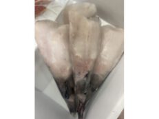 Pescatrice pacifico offerta