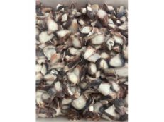 Polpo cotto tagliato