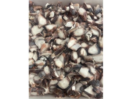 Polpo cotto tagliato