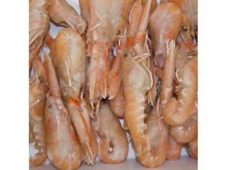 Scampi interi grandi sfusi