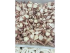 Tentacoli di totano cotto