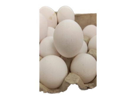 Uova Gallina Livornese (cad.)