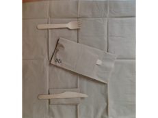 Set pranzo compostabile