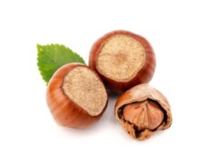 Nocciole extra con guscio