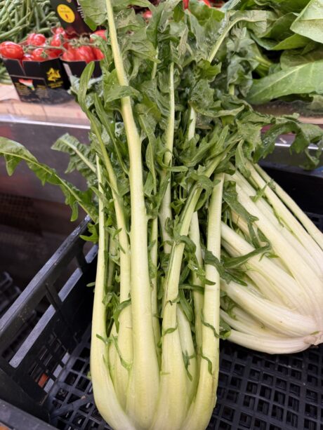 Puntarelle