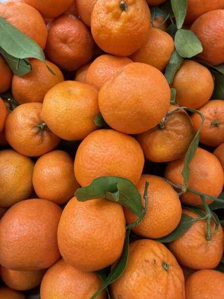 Clementini Calabria senza semi