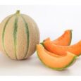 andbon-melone-retato-1