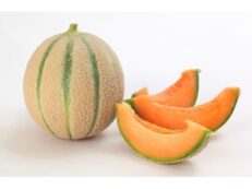 Melone Retato