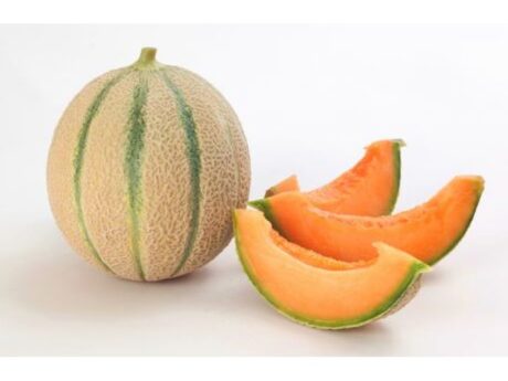 Melone Retato